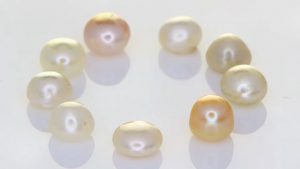 Collection Of White Pearls