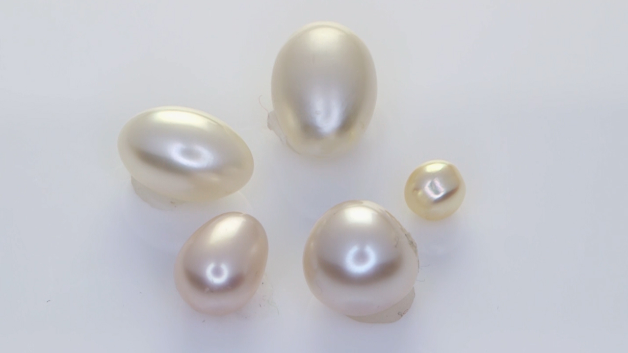 Five Real Salt Water Pearls - Prakash Gem Merchant & Jewellers ...