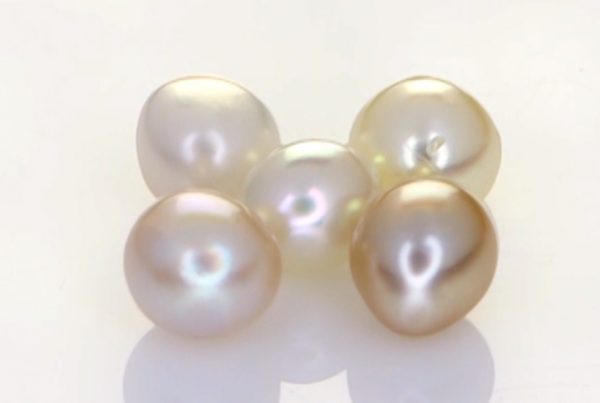 Five Real Salt Water Pearls