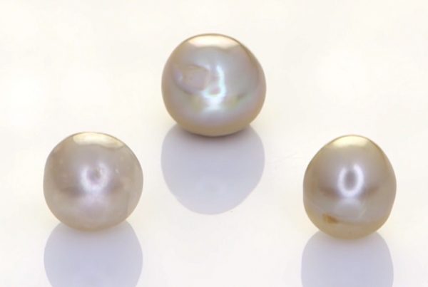 Three Real Salt Water Pearls